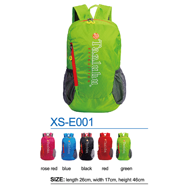 Foldable Bag XS-E001